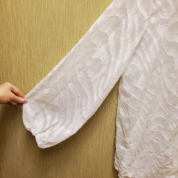 NWOT Zebra Print Semi Sheer Tunic Bishop Sleeve Size Lg - Picture 10 of 12